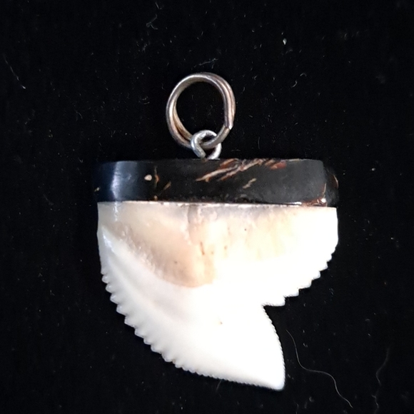 Other - ❌SOLD❌Black coral shark tooth pendent